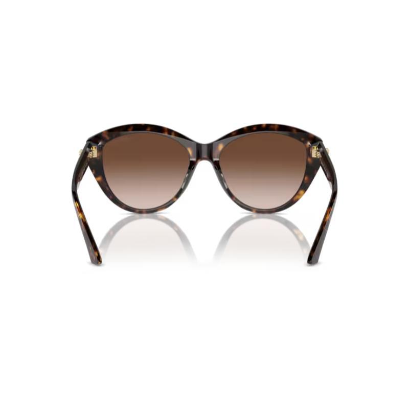 Jimmy Choo JC5007 Sunglasses Havana Frame with Gradient Brown Lens