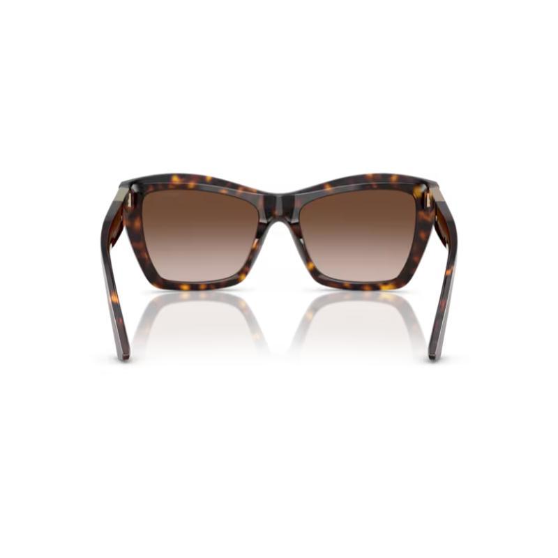 Jimmy Choo JC5031 Sunglasses Havana Frame with Gradient Brown Lens
