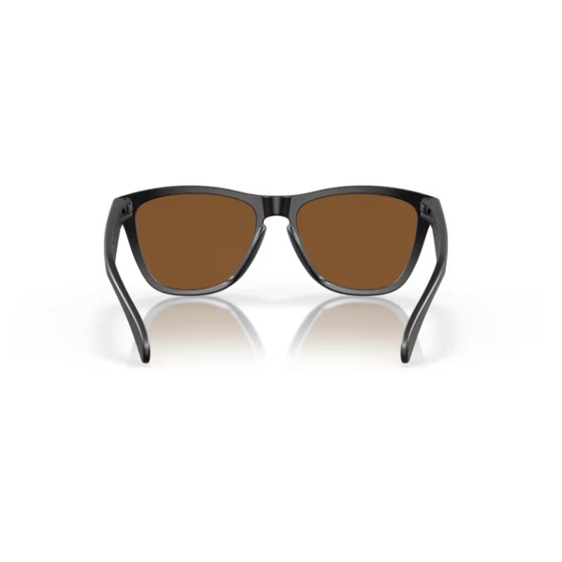Oakley Frogskins Matte Black Frame Prizm Violet Lens