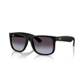 Ray-Ban Justin Sunglasses