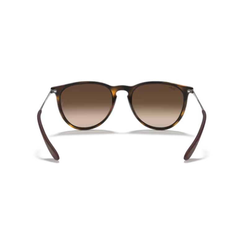 Ray-Ban Erika Classic Sunglasses