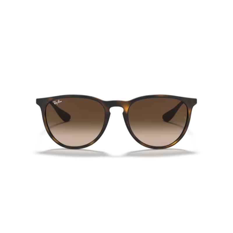 Ray-Ban Erika Classic Sunglasses