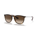 Ray-Ban Erika Classic Sunglasses