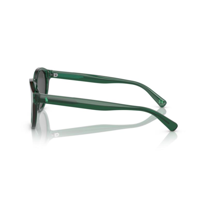 Polo By Ralph Lauren Earth PH4192 Shiny Transp. Green / Dark Grey Sunglasses