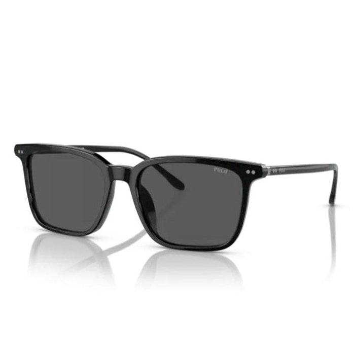 Polo By Ralph Lauren PH4194U Shiny Black / Grey Sunglasses