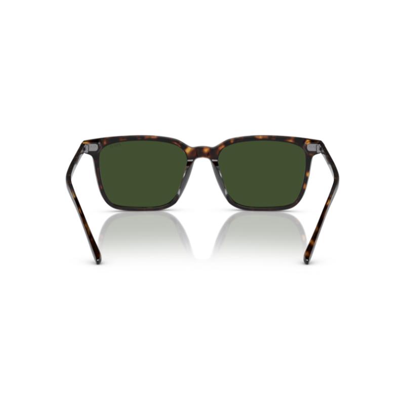 Polo By Ralph Lauren PH4194U Shiny Dark Havana / Dark Green Sunglasses