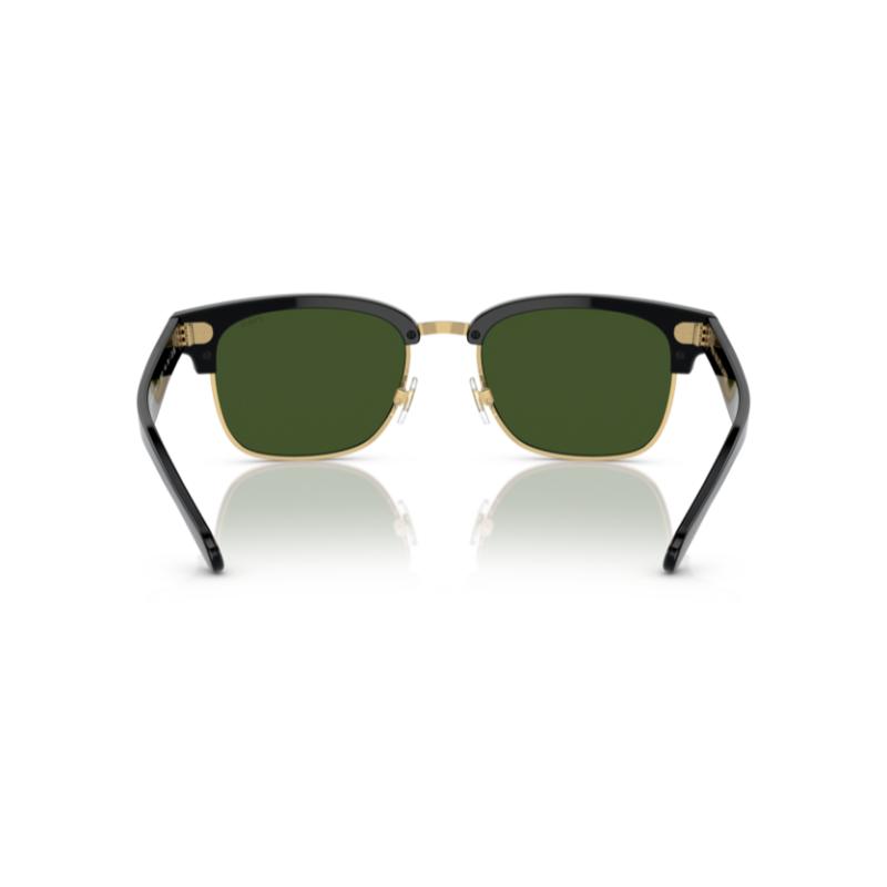 Polo By Ralph Lauren PH4202 Shiny Black / Dark Green Sunglasses