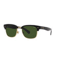 Polo By Ralph Lauren PH4202 Shiny Black / Dark Green Sunglasses