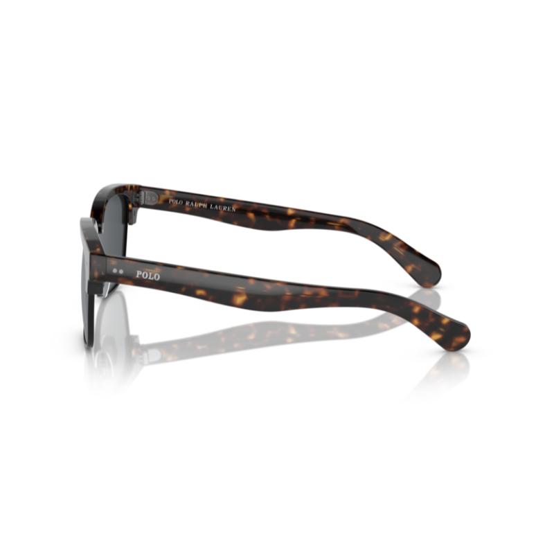 Polo By Ralph Lauren PH4202 Shiny Dark Havana / Grey Sunglasses