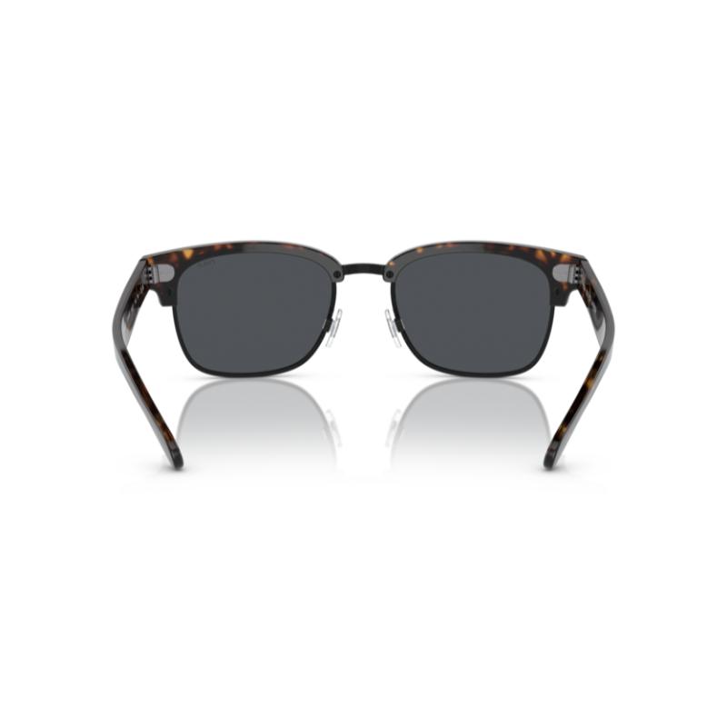 Polo By Ralph Lauren PH4202 Shiny Dark Havana / Grey Sunglasses