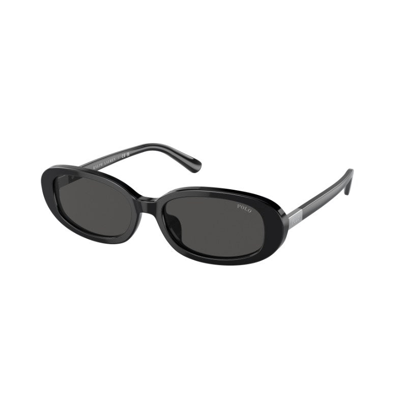 Polo By Ralph Lauren PH4198U Retro Shiny Black / Dark Grey Sunglasses
